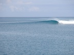 IMG 4247